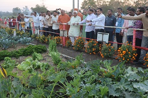 Inauguration-seven-days-02