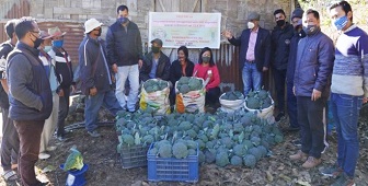 Integrated Nutrient Management in Broccoli coupled with Gravity-based Mini Sprinkler System in Mizoram 04_0