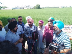 Inter-State Travel Seminar on Direct Seeded Rice (DSR) organized 01