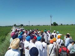 Inter-State Travel Seminar on Direct Seeded Rice (DSR) organized 02