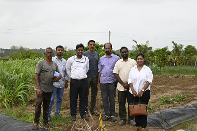 Industry–Scientist Interface on AI and IoT Applications in Aquaculture