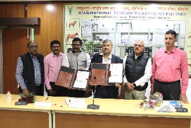 MoU Signed and Technology Transferred at ICAR–National Research Centre on Equines