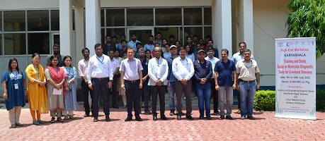 Molecular-Diagnostic-Tools-01