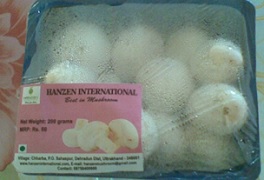 Mushroom Cultivation - A Pathway to Economic Sustainability in Doon Valley of Uttarakhand 01_0.jpg