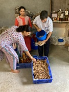 Mushroom Cultivation - A Pathway to Economic Sustainability in Doon Valley of Uttarakhand 04_0.jpg 