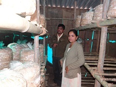 Mushroomhouse-012020