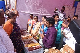 Mushroomhouse-022020