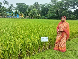 Institutional Mechanism and Technological Backstopping to Promote Women Entrepreneurship in Agriculture