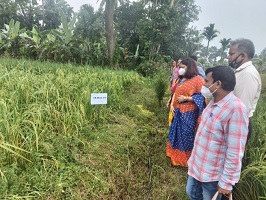 Institutional Mechanism and Technological Backstopping to Promote Women Entrepreneurship in Agriculture