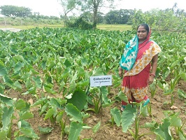 कृषि में महिला उद्यमिता को बढ़ावा देने के लिए संस्थागत तंत्र और तकनीकी बैकस्टेपिंग कार्यक्रम आयोजित