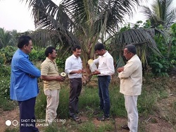 NBAIR-SS-06-08-2020-1