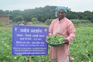 ICAR-IIVR’s Okra Variety - Kashi Chaman fetches bumper yield at farmer’s field