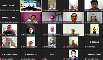 On-line-Collaborative-02