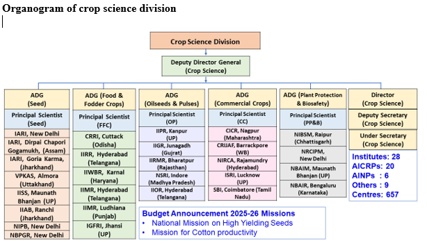 Organogram