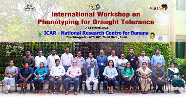 Phenotyping-drought-tolerance-03