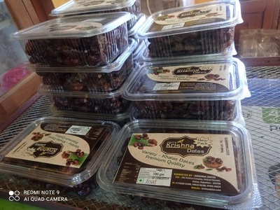 Plantation of Date Palms has changed fortune of farmers in Barmer 03_0.jpg