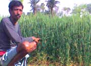 Ramakant-Nadi-Kund-8