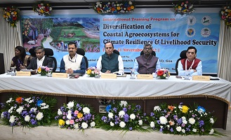 Resilience-Livelihood-Security-01