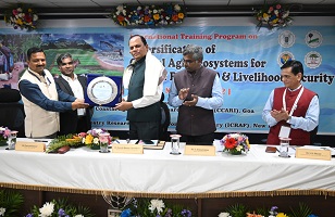 Resilience-Livelihood-Security-02