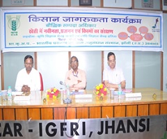 Rights in Intellectual 01