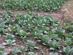  SS-01-09-2014-2 (1).jpg