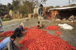 SS_pusa-rudar-26-05-2014-3