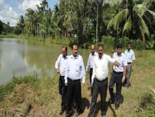 SatelliteFish0217022014