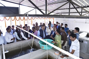 Scampi-Hatchery-ICAR-CIFA-02_1