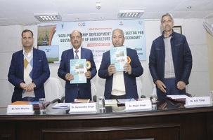 Seed-Sector-Sustainability-01