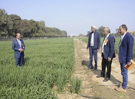 Seed-Sector-Sustainability-02