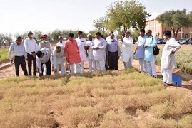 Shri Kailash Choudhary visits ICAR-CAZRI, Jodhpur 3