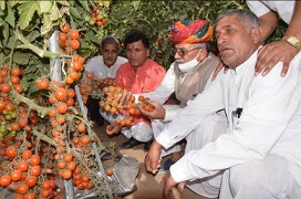 Shri Kailash Choudhary visits ICAR-CAZRI, Jodhpur 4