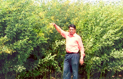 Success-Story-Lokesh