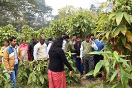 Training Programme under SCSP Programme at Jorhat, Assam concludes