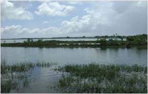 UtilizeFloodWater-03