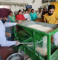 Value-Addition-Cereals-Millets-NutritionalSecurity-01