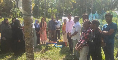 Vegetable-cultivation-Tomato-Minicoy-01_1