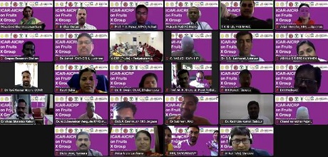 X-Group-Discussion-ICAR-AICRP-Fruits-02