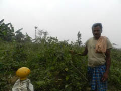 aicrp-ifs-ss-18-02-2013-3