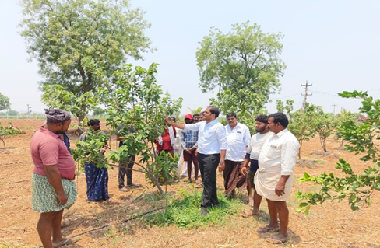 Report on Campaign for Balanced Use of Fertilisers under ICAR-ATARI Zone X, Hyderabad