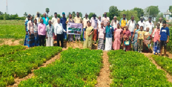 Report on Campaign for Balanced Use of Fertilisers under ICAR-ATARI Zone X, Hyderabad