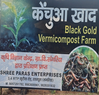 Organic Revolution: The Success Story of “Green Vision” Vermicompost Enterprise