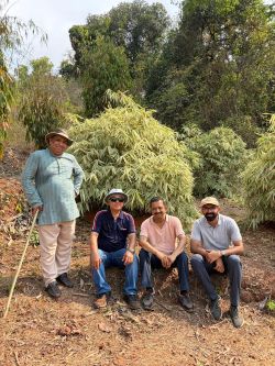 Bamboo Value Chain Expert Shri Kamesh Salam Visits ICAR-CCARI Goa’s Bambusetum