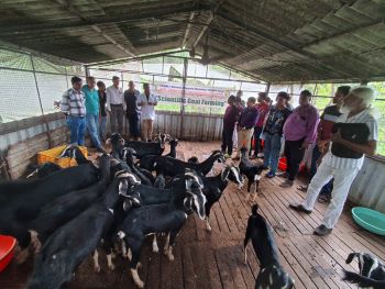 Scientific Goat Management Fosters Entrepreneurship