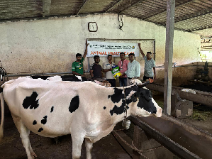 Animal Health Camp Organised