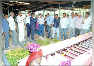 ciae_success_story_commercial_scale_fruit_grader_6