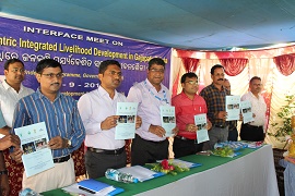 cifa-02-01102018 (1).jpg