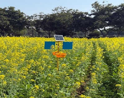 Day and Night Guardian: A Solar Solution for Crop and Storage Pest Management