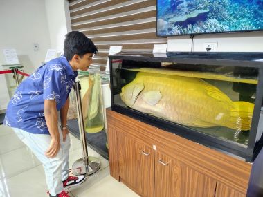 ICAR-CMFRI opens doors to fascinating world of marine life on the occasion of its 79th Foundation Day