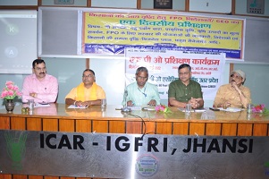 cow-rearing-natural-farming-01